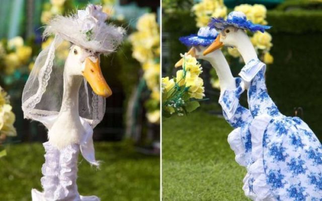 Morning Picdump