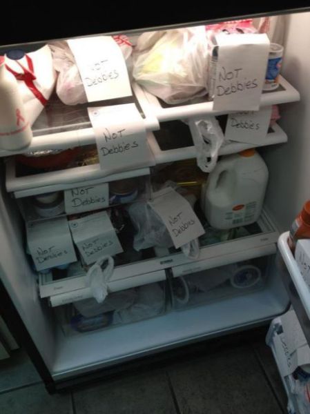 Morning Picdump