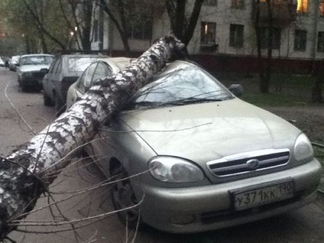 Morning Picdump
