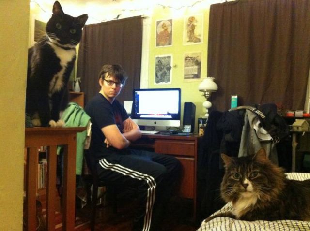 Morning Picdump