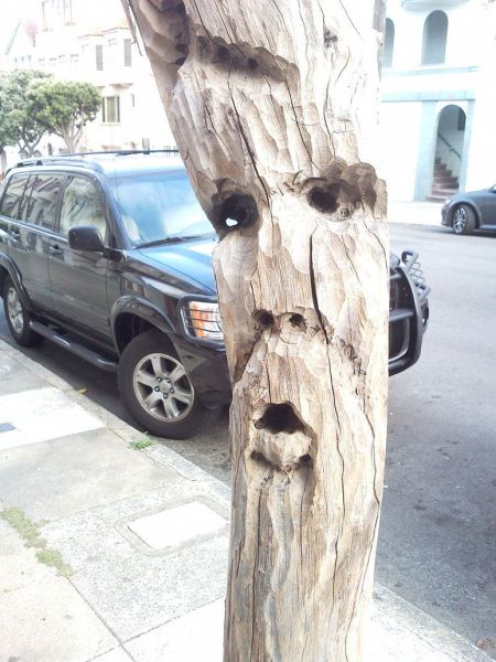 Morning Picdump