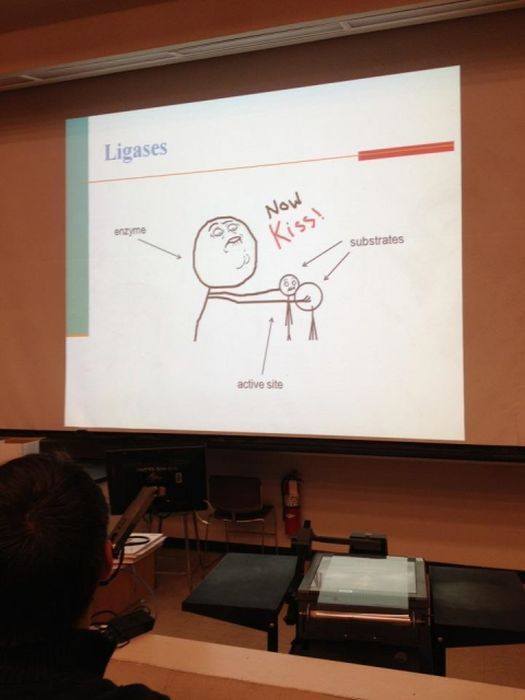 Morning Picdump