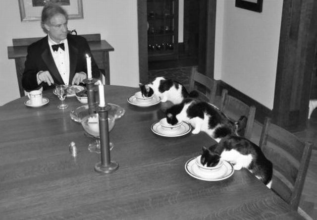 Morning Picdump
