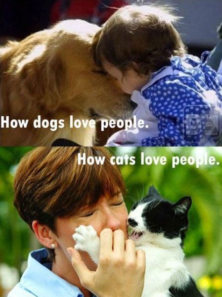 Morning Picdump