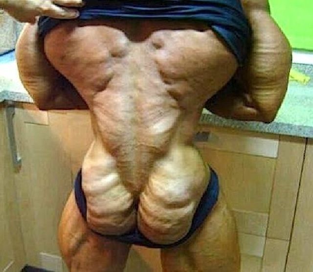 Daily Picdump