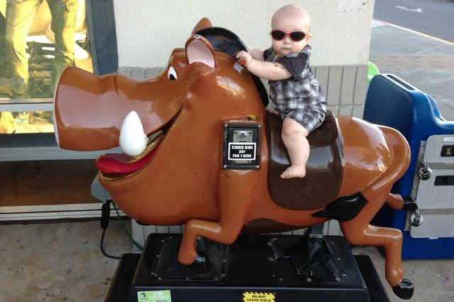 Morning Picdump