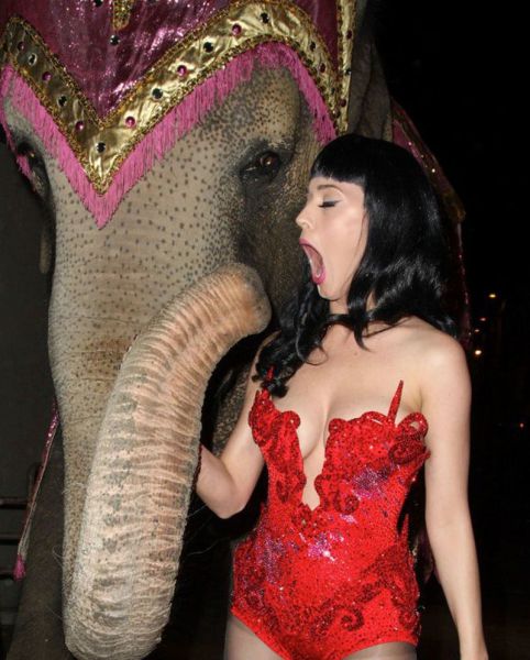Daily Picdump
