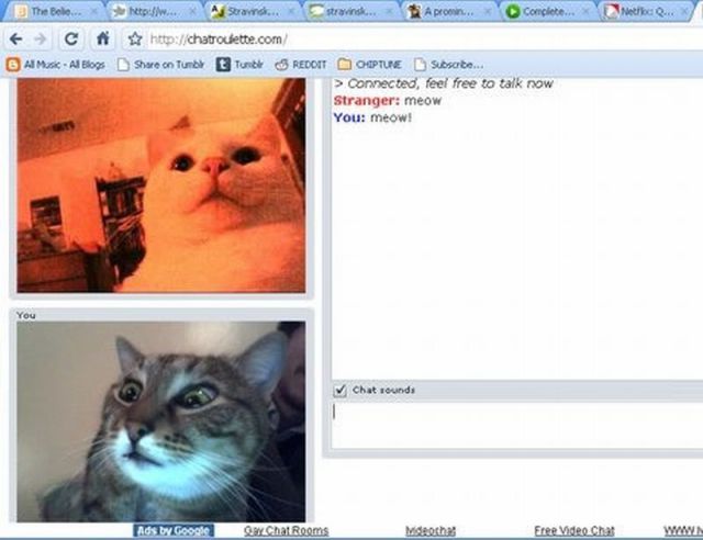 Daily Picdump