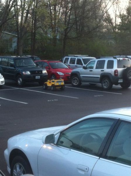 Daily Picdump