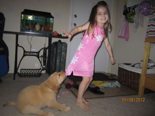 Content Image