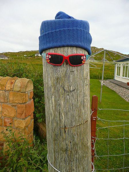 Morning Picdump