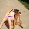 Content Image