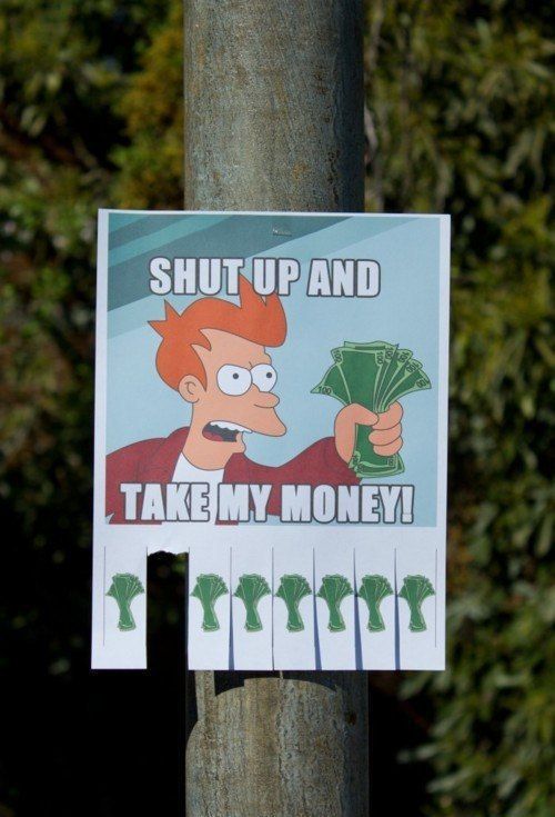Content Image