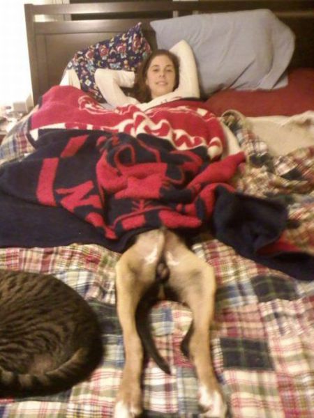 Morning Picdump