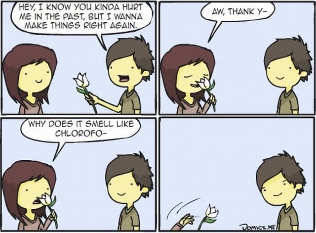 Morning Picdump