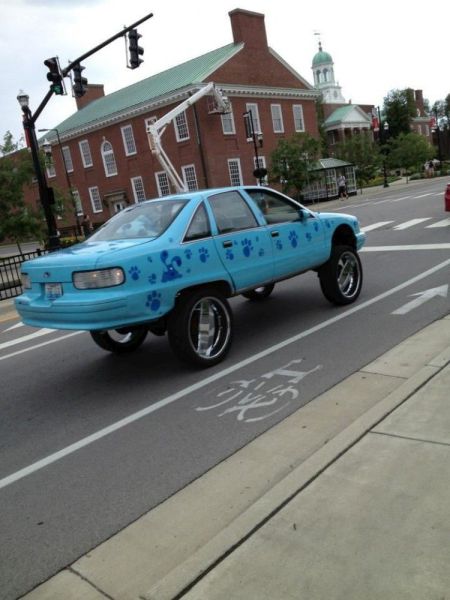 Morning Picdump