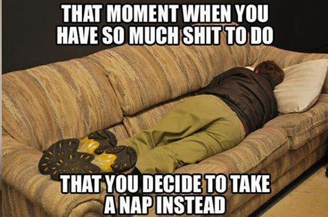 Morning Picdump
