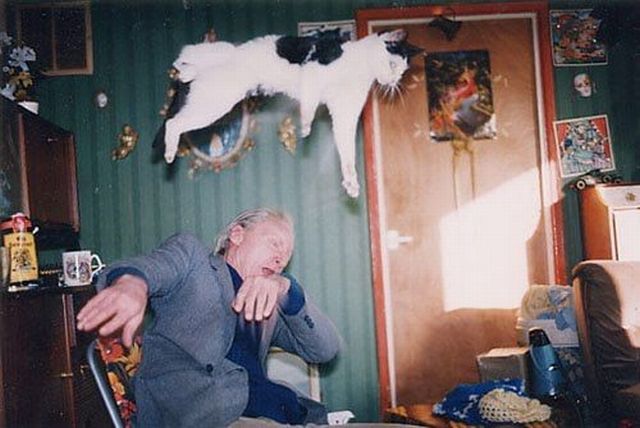 Content Image
