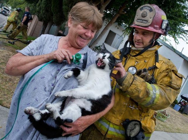 Morning Picdump