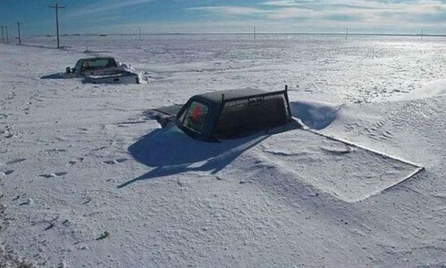 Morning Picdump