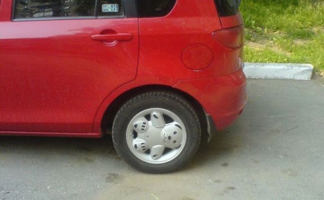 Morning Picdump