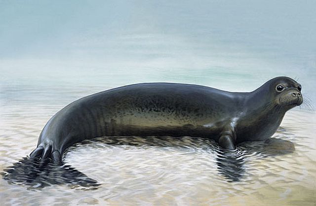 Animals That Are Recently Extinct