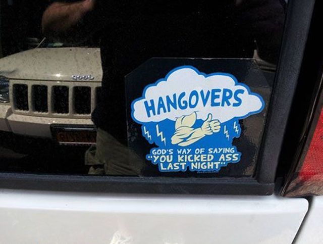 Morning Picdump
