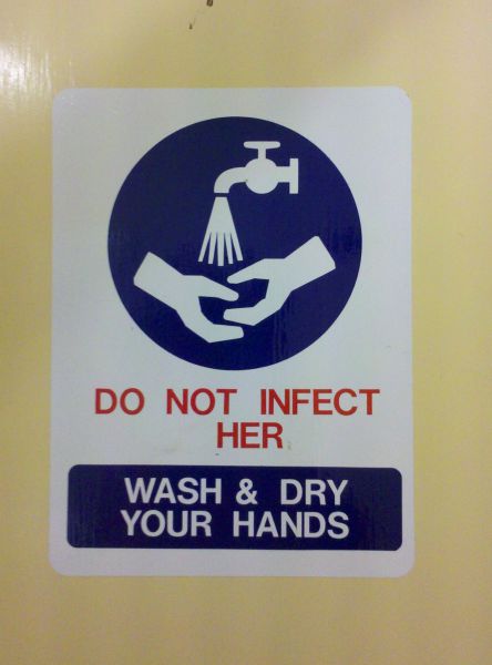 Morning Picdump