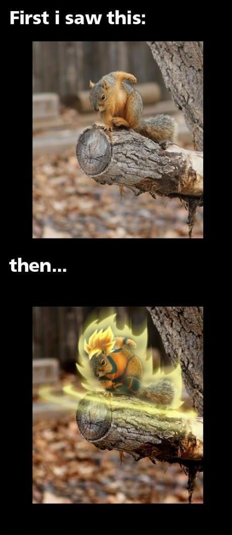 Morning Picdump