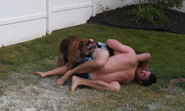 Morning Picdump