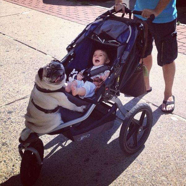 Morning Picdump