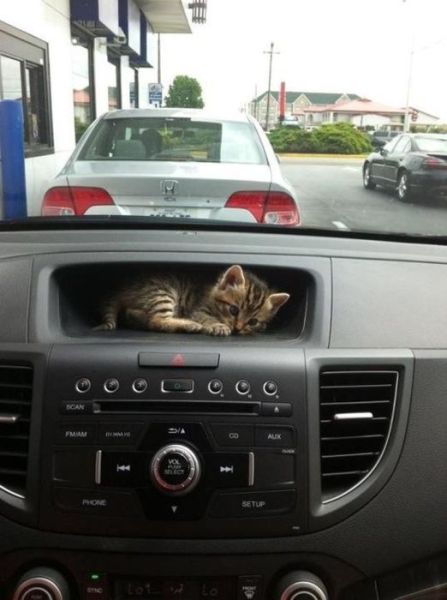 Morning Picdump