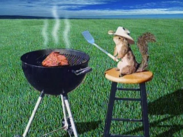 Content Image