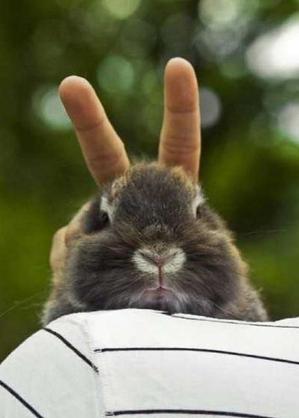Daily Picdump