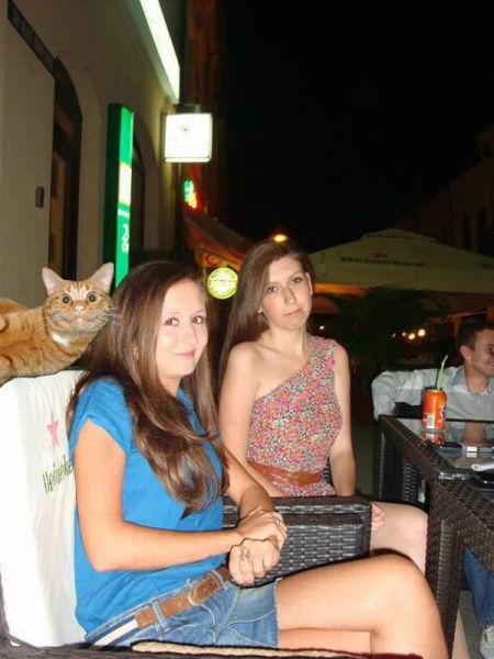 Content Image