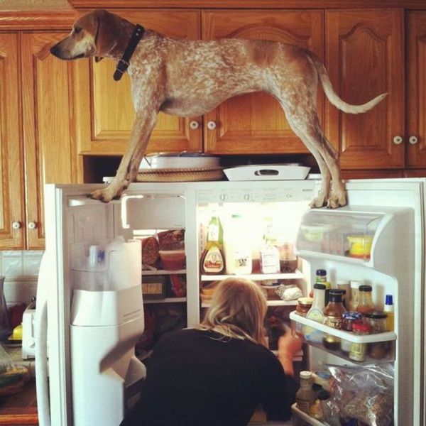 Morning Picdump