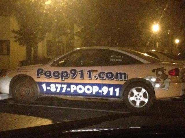 Content Image