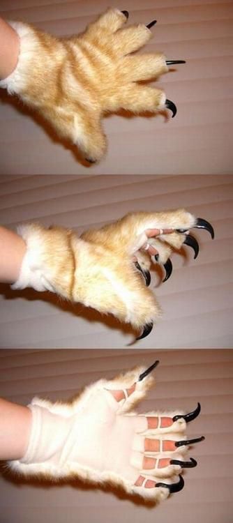 Content Image