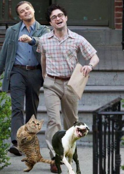Morning Picdump
