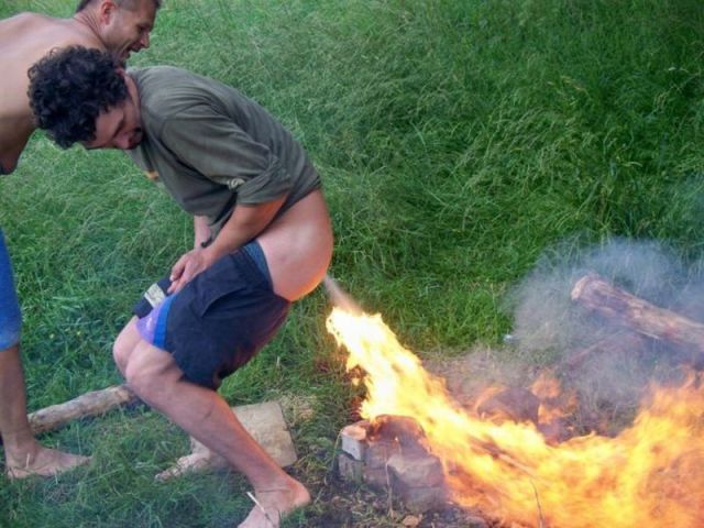 Daily Picdump