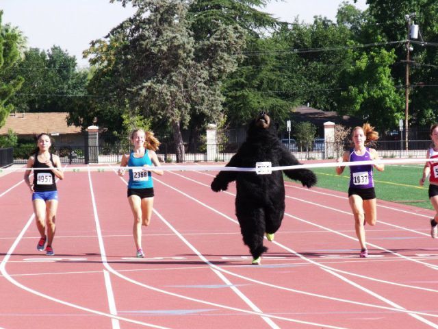 Morning Picdump