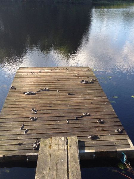 Morning Picdump