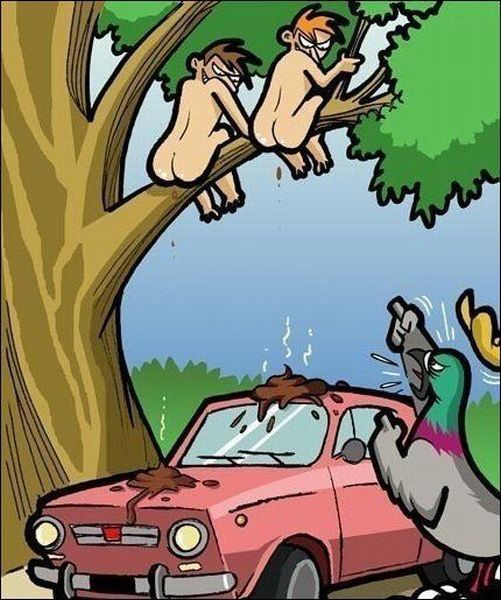Morning Picdump