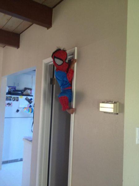 Content Image