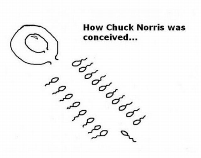 Morning Picdump