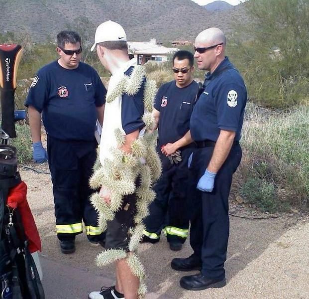 Content Image