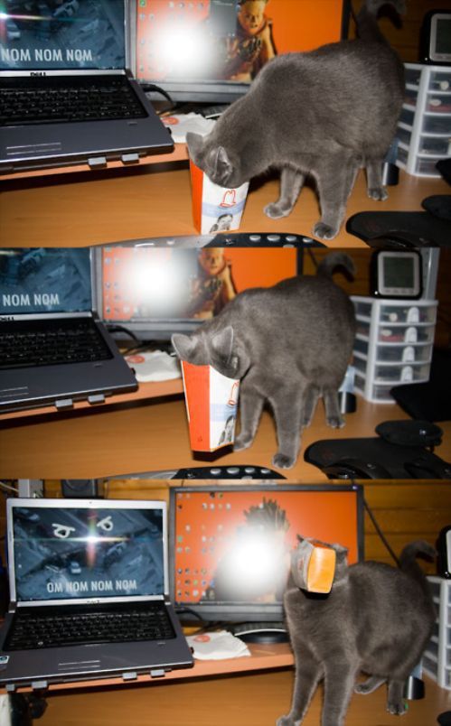 Content Image