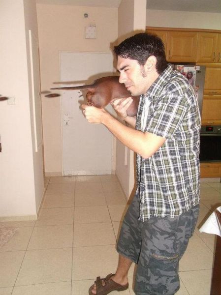 Morning Picdump