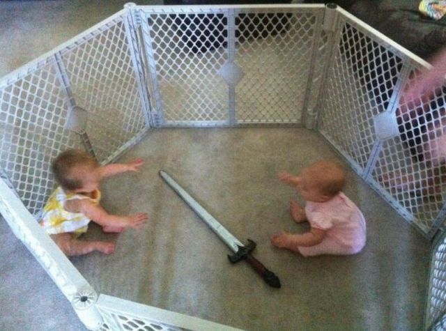 Morning Picdump