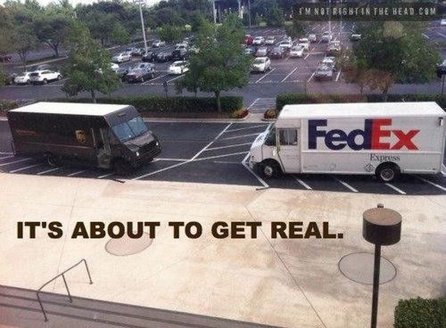 Morning Picdump